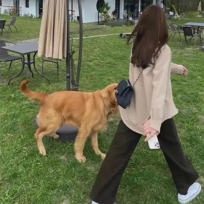 好运连连